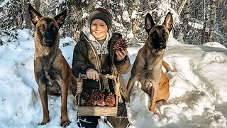 Sunny Day in Alaska!☀️ || DIY Pinecone Fire Starters for our Wood Stove || Easy Off Grid Hacks!