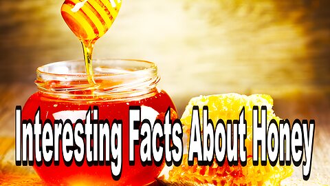 Interesting Facts About Honey