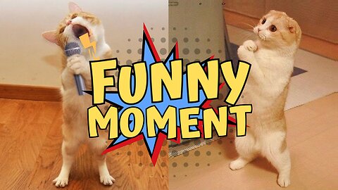 Best Funny Video, Get Ready to Laugh: Our Funniest Video Yet