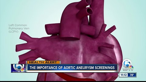 What's the importance of the aorta and screenings?