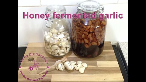 How to make honey fermented garlic | Immune booster. #honeyfermentedgarlic #garlic #fermenting