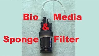 Sponge Filter with Bio Media