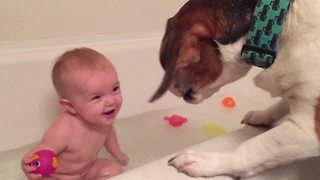 A Baby Girl Laughs As A Dog To Lean Over A Tub