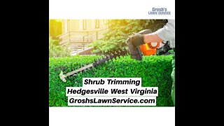 Shrub Trimming Hedgesville West Virginia Landscape Company