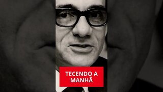 TECENDO A MANHÃ (JOÃO CABRAL DE MELO NETO) #shorts