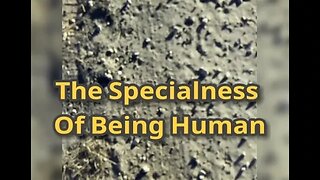 Morning Musings # 723 - Why Angels Long To Be HUMAN. There Is Something Very Special To Being Human.