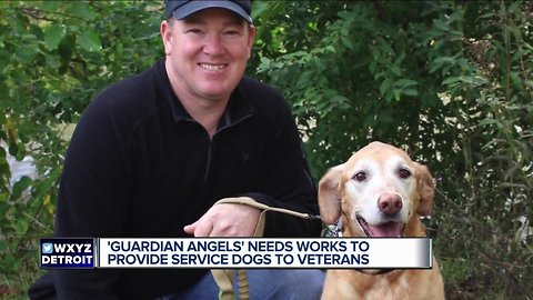 'Guardian Angels' helping veterans and first responders with highly skilled service dogs