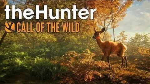 theHunter: Call of the Wild - DUAS HORAS DE LIVE UMA CAÇA - @NEWxXxGames #thehuntercallofthewild