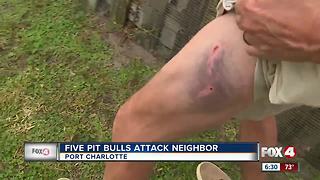 5 pit bulls attack Port Charlotte man