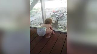 A Cat Gives A Toddler Girl All The Giggles