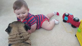 Babies LOVE Dogs!