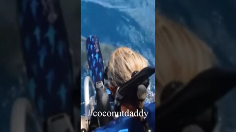Watch Video of Marine Scientist almost get eaten by Shark #shorts