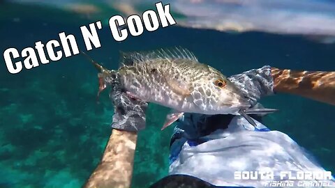 Catch N Cook Spearfishing + Dolphins & Manatees