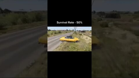 Survival / BeamNG DRIVE