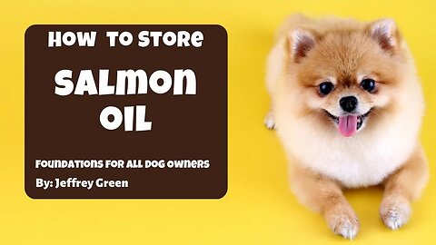 How to Store Salmon Oil for Dogs & Cats: The Best Methods