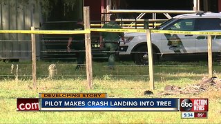 Experimental aircraft crashes into tree when pilot loses power in Zephyrhills