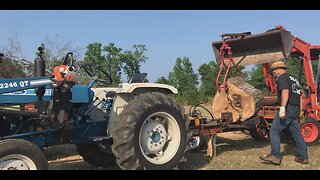 Sawmilling The Drop Dead Oak