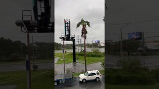 Live: Tampa Bay FL Hurricane Ian J4J Update #3 #shorts #florida #hurricaneian