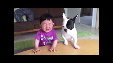 Funny DOG AND KIDS Videos 2021