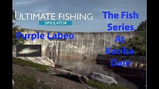Ultimate Fishing Simulator: The Fish - Kariba Dam - Purple Labeo - [00072]