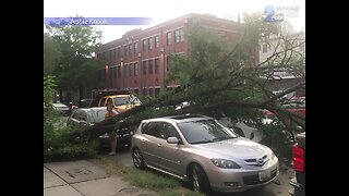 Storms and heavy winds in Baltimore cause fallen trees and damaged cars
