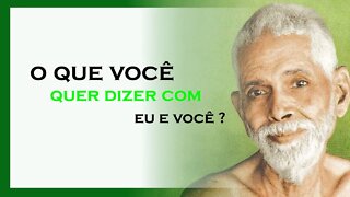 O QUE VOCÊ QUER DIZER COM EU E VOCÊ, RAMANA MAHARSHI DUBLADO, MOTIVAÇÃO MESTRE