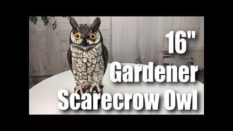 Dalen Gardeneer 16" Plastic Great Horned Owl Review