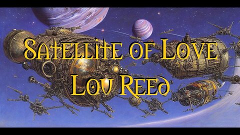 Satellite Of Love Lou Reed