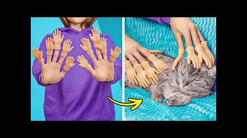 Top Pet Gadgets and Hacks of 2024🏅🐱