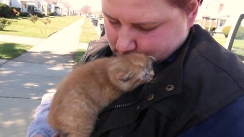 Read description - guy is feeding a cat. Ukrainian owner left him to die locked up with no food