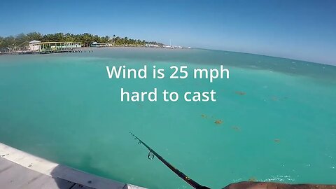 Bank fishing for dinner, fishing caye Caulker belize, bank snapper and baracuda, fishing video