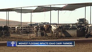 Midwest flooding increases grain prices for Idaho farmers