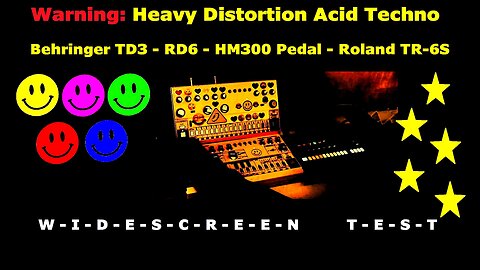 Warning - Heavy Distortion Acid Techno Short - TD-3 RD-6 - Roland TR-6S - Behringer HM300 Pedal