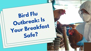 Bird Flu Outbreak: Is Your Breakfast Safe?