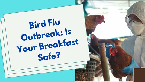 Bird Flu Outbreak: Is Your Breakfast Safe?