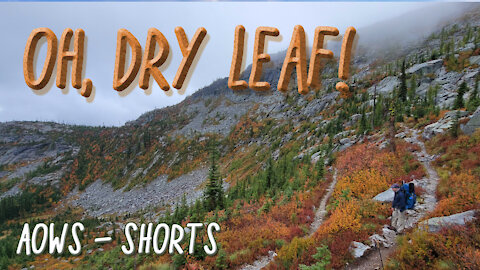 Oh, Dry Leaf!