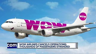 Wow Airlines cancels operations: Thousands of passengers stranded