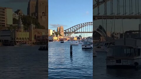 Harbour Bridge from Lavender Bay Boat Ramp