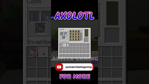 Pink Axolotl Banner | Minecraft