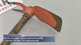 Bairro de Lourdes: Em GV, Mulher tenta Agredir a Mãe com um "Sacho" de Jardinagem.