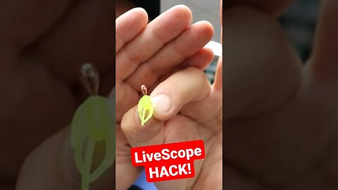 Fishing Live Scope Hack! #fishing #crappie #castcray #hack #livescope #shorts #fyp