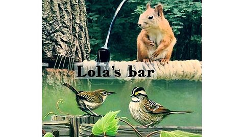 Lola’s bar