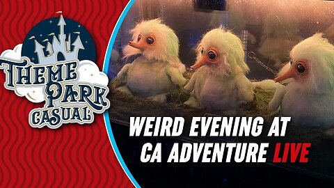 LIVE Weird Evening at Disney California Adventure