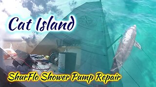 SDA100 Cat Island, Dolphin and Shower Pump Repair