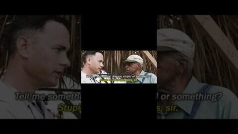 Forest Gump Stupid is