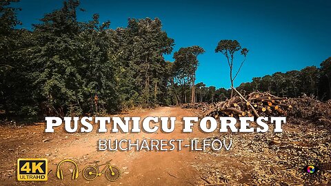PUSTNICU Forest - Trailer, Bucharest - Ilfov | 4k Virtual Tour | 🇷🇴
