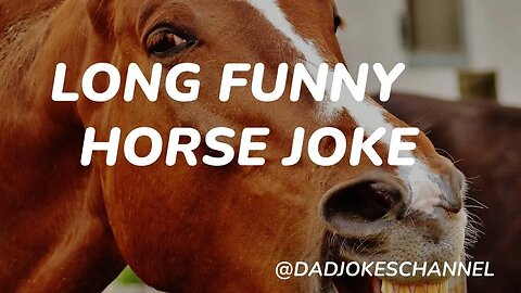 LONG FUNNY HORSE JOKE