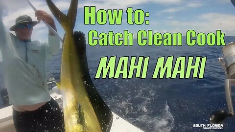 How to Catch Cook and Clean Mahi | The inFamous Florida Mahi Sandwich