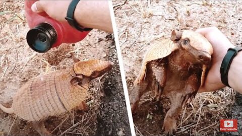 The man shared water with the beast, he immediately thanked him for his help