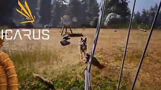 Shooting Range Practice! ~ Icarus (Styx)